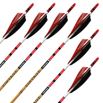 komplettpfeil-black-eagle-vintage-crested-005-carbon-ab-werk-befiedert-6er-pack_b4