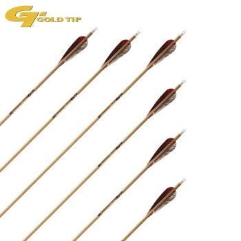 komplettpfeil-goldtip-traditional-pro-003-abweichung