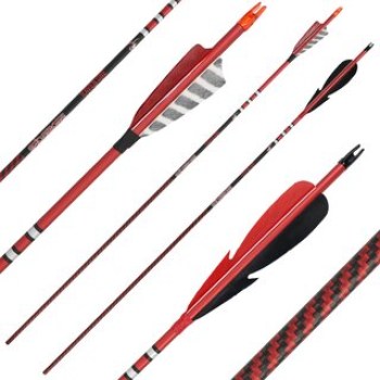 komplettpfeil-spiderbows-raven-one-kevtech-6-2mm-carbon