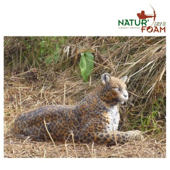 naturfoam-leopard-ruhend