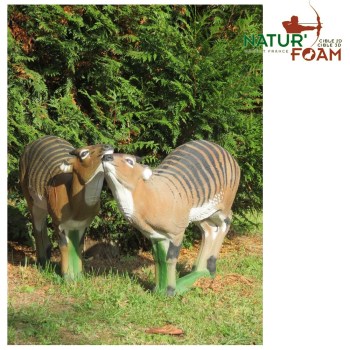 naturfoam-westafrikanische-waldantilope