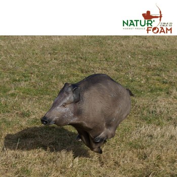 naturfoam-wildschwein-fluechtend