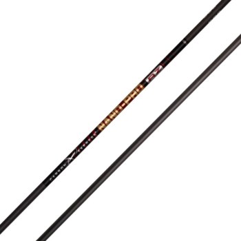 schaft-carbon-express-nano-pro-rz-carbon-spine-350