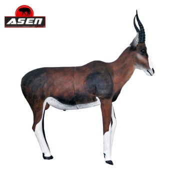 terc-asen-sports-blessbock