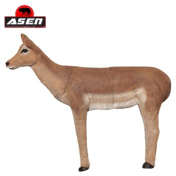 terc-asen-sports-impala-weiblich