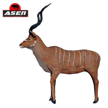 terc-asen-sports-kudu