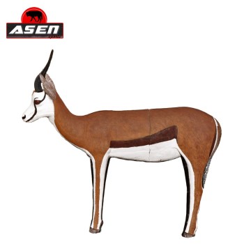 terc-asen-sports-springbock